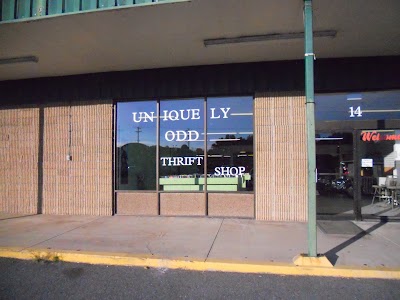 Uniquely Odd Thrift Shop