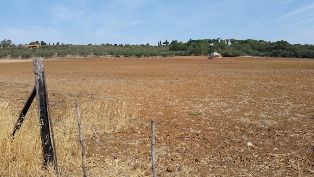 Il Giardino dei Tarocchi