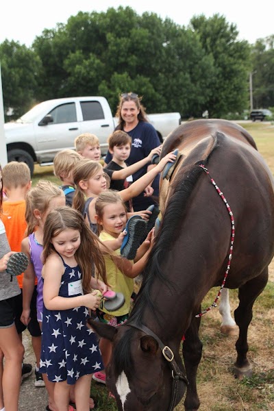 Chasing Laurels - Riding Lessons , Horse Boarding , & Training