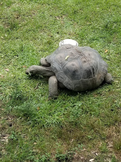 Louisiana Purchase Gardens & Zoo