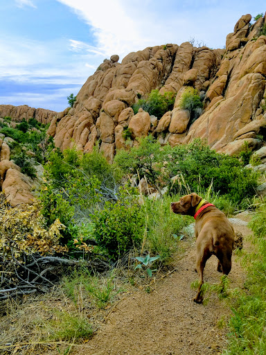 Granite Gardens Park - Thumbnail