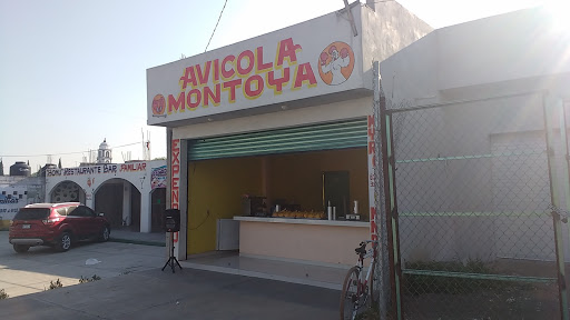 Avicola Montoya - Thumbnail
