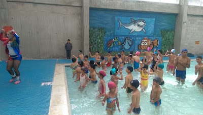 Photos of Piscinas del Parque el Virrey Sur