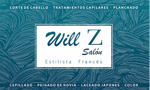 Will Z Salón 0