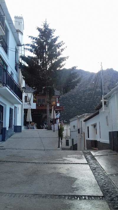 Photos of Hotel La Fragua I