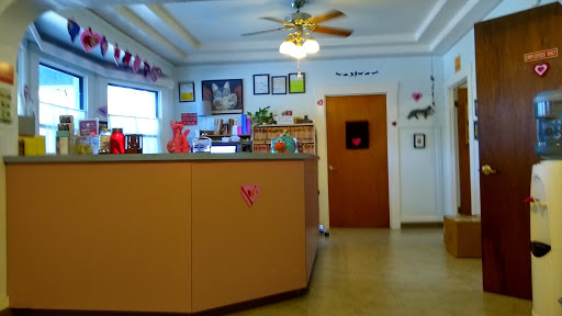 Cat Hospital of Petaluma - Thumbnail