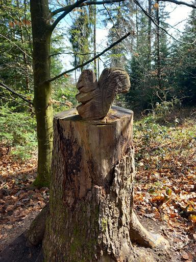 Waldparkplatz Schadenweilerhof - Thumbnail