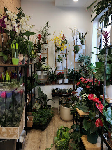 Floristería Nekane Loreak - Thumbnail