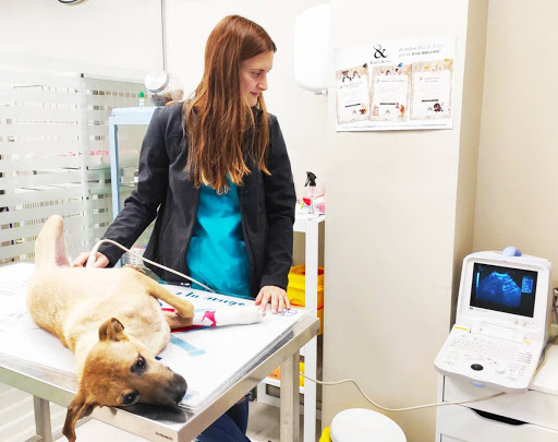 Medivet Kans&Co Manresa