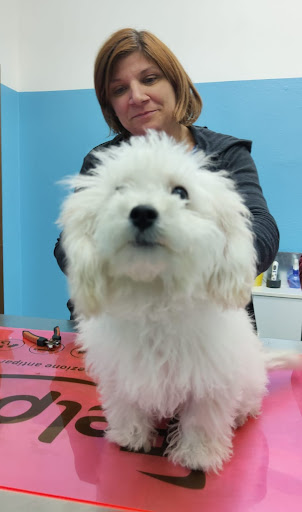 Ambulatorio Veterinario "Happy Vet Elmas" - Thumbnail
