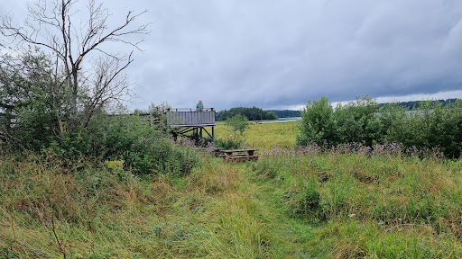 Birding Platform - Visual