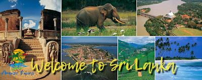 Photos of Amaze tours