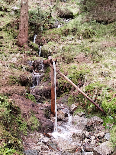 Wanderung Talsperre Eibenstock