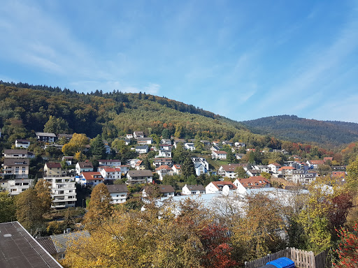Steinbachschule - Visual