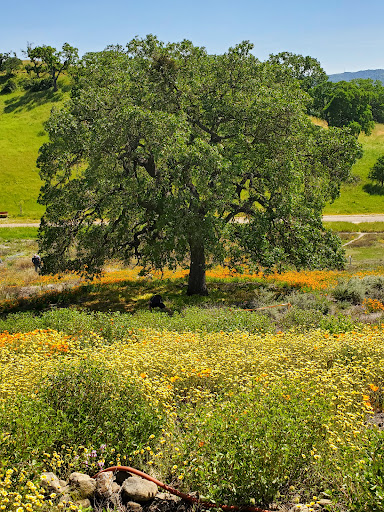 Fossil Hill Trail - Thumbnail