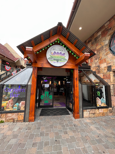 Baked Dispensary + Oxygen Bar - Thumbnail