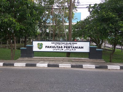 university