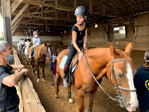 Photo n°6 de Cercle Hippique De La Brêche Aux Loups à Ozoir-la-Ferrière (Centre équestre)