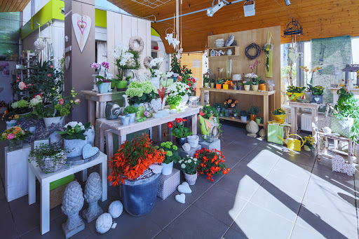 Blumen Bauer - Visual
