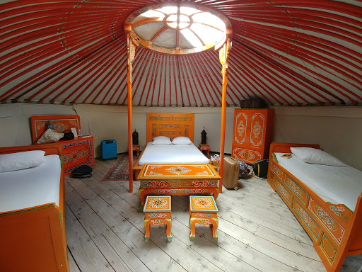 Photo de Les ânes de Vassivière à Peyrat-le-Château (87470)