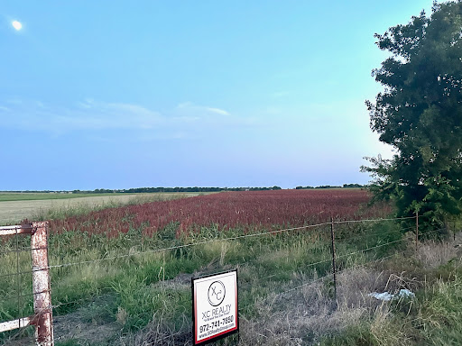XC Realty - Visual