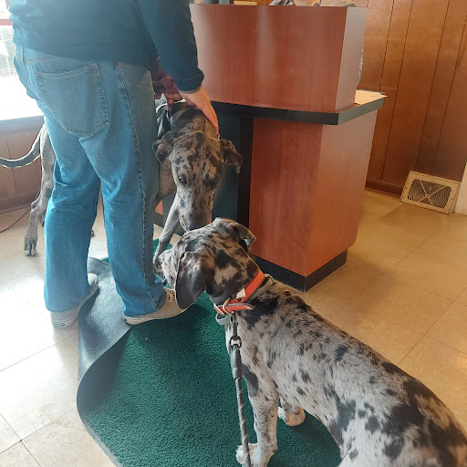 Country Care Veterinary Center, PLLC Gallery - United States
