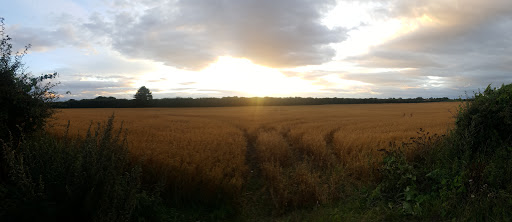 Askham Lane - Visual
