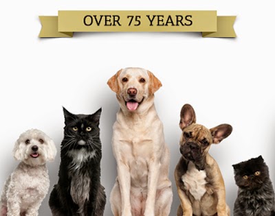 Photos of Animal Hospital of Niskayuna
