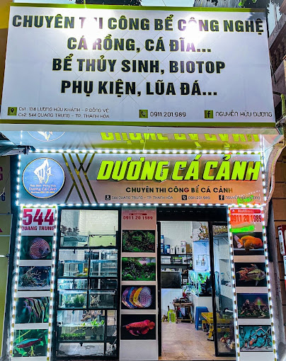 Dương Cá Cảnh (cơ Sở 2)