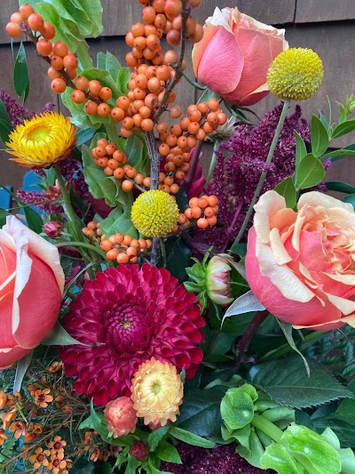 Basketcase - Your Cannon Beach Florist