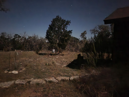 CEDAR BLISS - Visual
