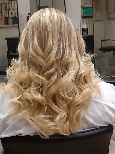ERRICA FREE CUT - Thumbnail