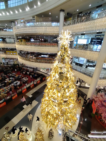 Robinsons place Manila