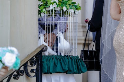 A Sign Of Peace White Dove Releases