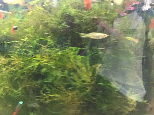 New Katong Aquarium - Thumbnail