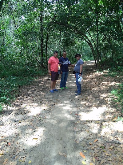 Photos of Ca&ntilde;o Camoa