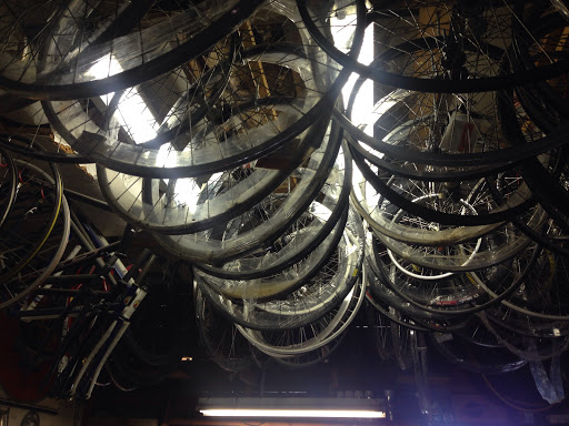 Argonne Cycle - Visual