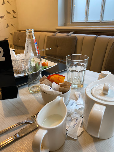 Wild Mint Cafe - Visual