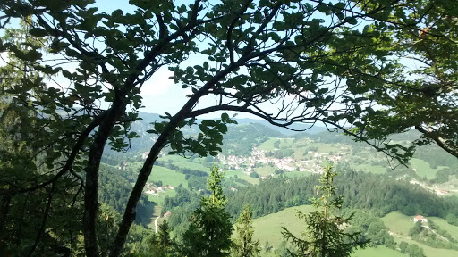 Constans Sylvain - Thumbnail