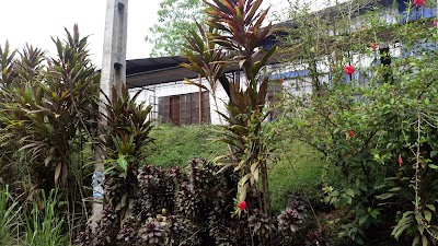 Photos of Morapitiya Tea Factory