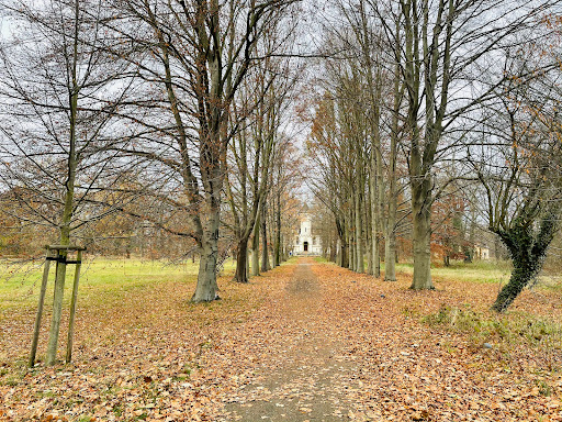 Chateau Hohenbocka - Thumbnail