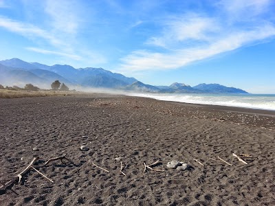 Photos of Whale Watch Kaikoura