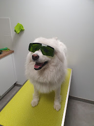 Photo n°6 de Clinique Vétérinaire Anid’oc à Béziers (Clinique vétérinaire)