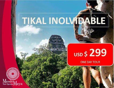 travel-agency