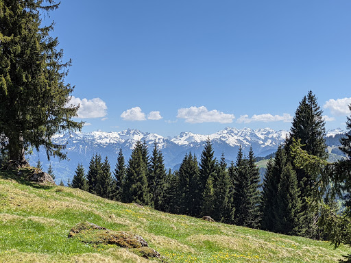 Alpe Vorderkrumbach - Thumbnail