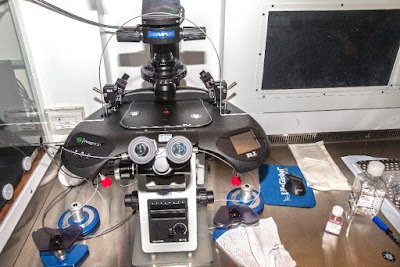 Photos of Medfem Fertility Clinic
