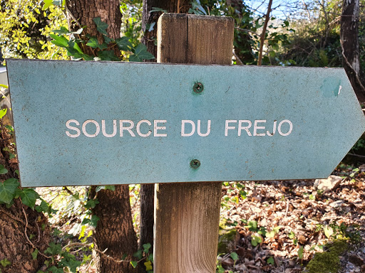 Frejo - Visual