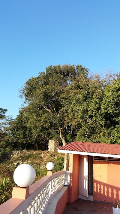 Photos of Verny Tropical Resort