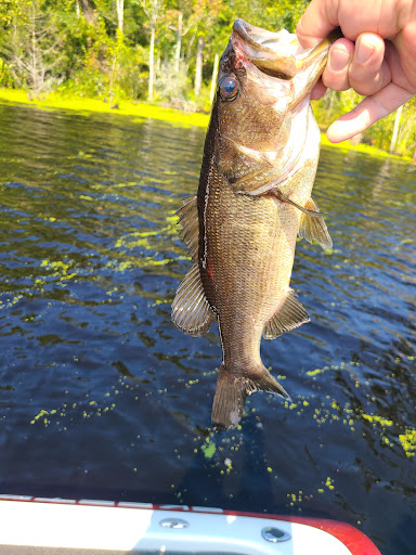 North River Game Land - Thumbnail