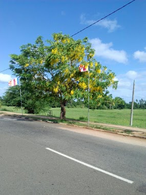 Anagarika Dharmapala Pilgrims Rest, Author: Kalana Kawindha